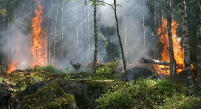 «Τρέχουν» οι αιτήσεις για τις προσλήψεις 500 δασοπυροσβεστών - Λήγει αύριο 30 Μαρτίου η προθεσμία