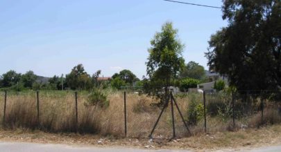 Σε ΦΕΚ νέα απόφαση -Πρόστιμο και φυλάκιση για τους αμελείς ιδιοκτήτες