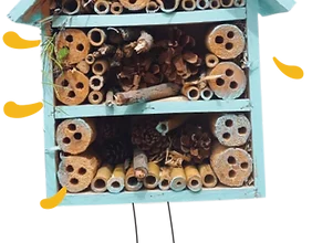 bee hotel