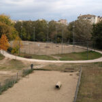 241106 dogpark photo1