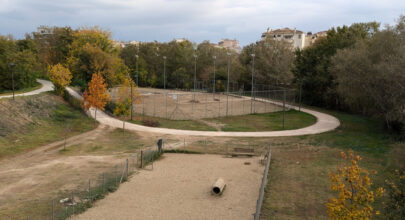 241106 dogpark photo1