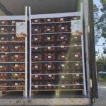 Συνεχίζεται η διανομή ροδάκινων τη Δευτέρα 2 09336bf4 8b54 403f ab61 9dfeb22e7949