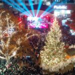 251202 dl anamma dentrou peggy zina 14