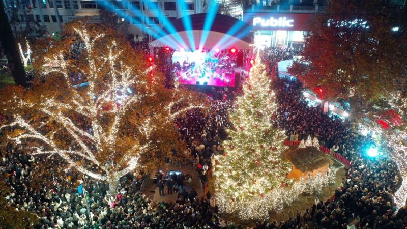 251202 dl anamma dentrou peggy zina 14