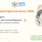 scholes goneon 2o ergastirio aisthimata